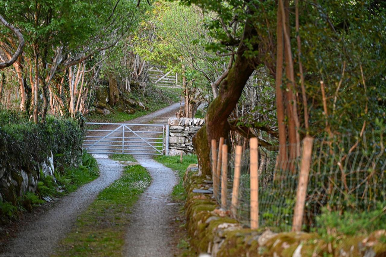 Appartamento Ty Gwennol Near Gilfach Goch Llanbedr  Esterno foto